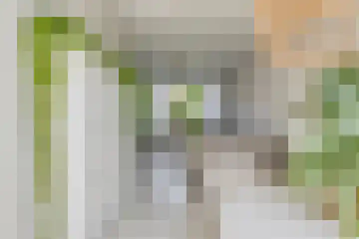 Titus Brandsmastraat 5 Oudewater thumbnail 6
