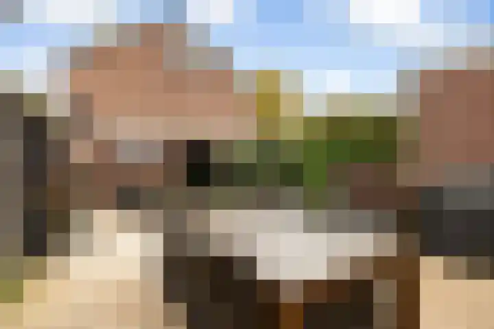 Titus Brandsmastraat 5 Soest thumbnail 26