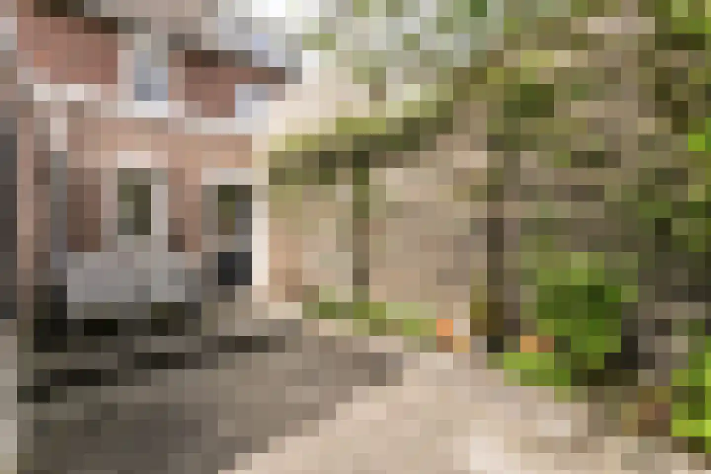 Titus Brandsmastraat 58 Brunssum thumbnail 25