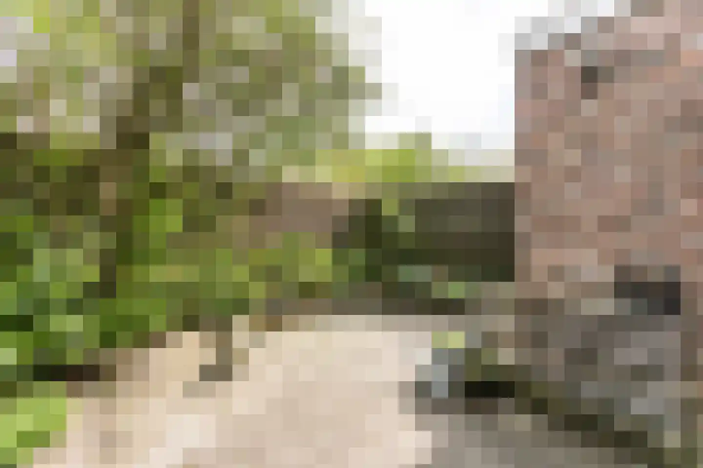 Titus Brandsmastraat 58 Brunssum thumbnail 26