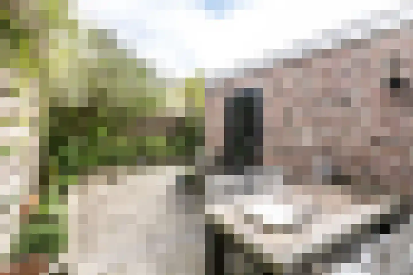 Titus Brandsmastraat 58 Brunssum thumbnail 27