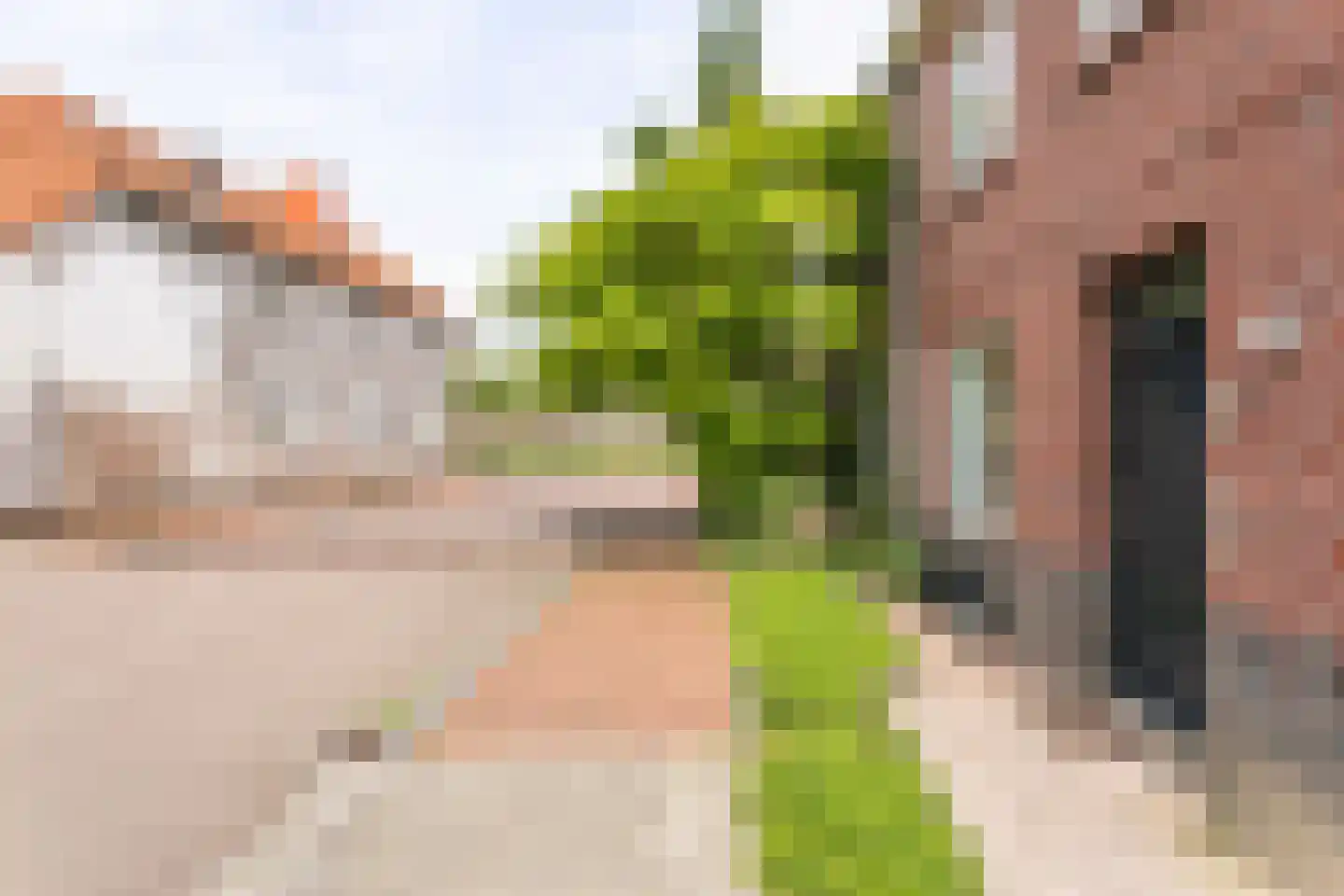 Titus Brandsmastraat 58 Brunssum thumbnail 35