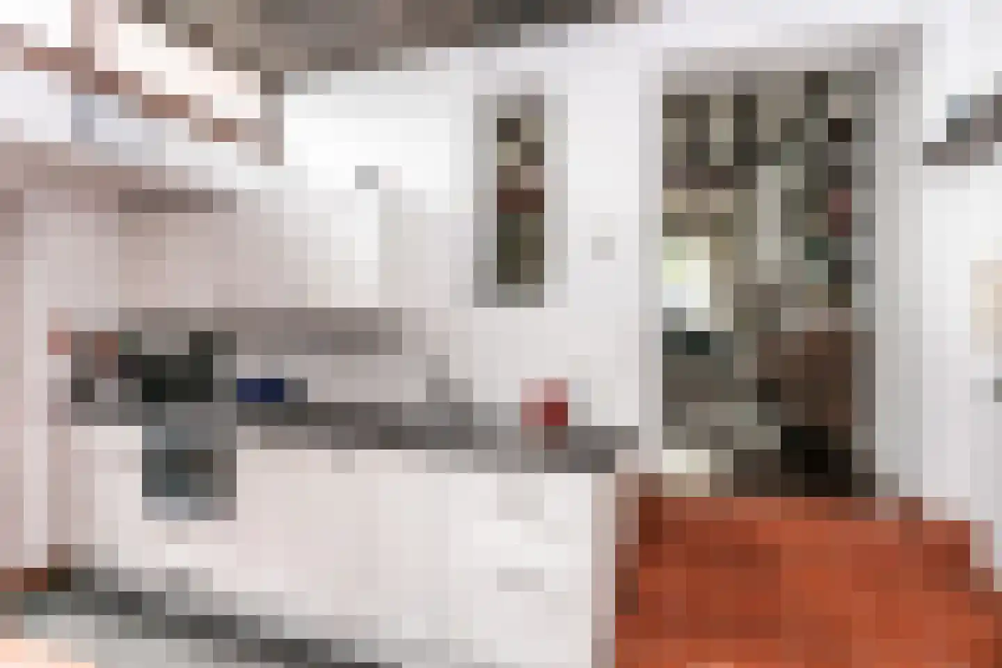 Titus Brandsmastraat 58 Brunssum thumbnail 9