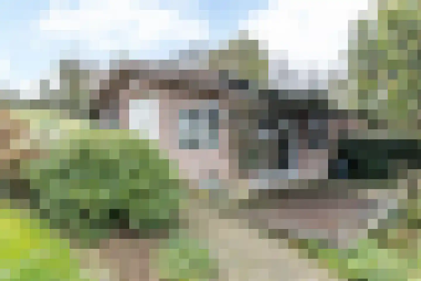Titus Brandsmastraat 6 Brunssum thumbnail 33