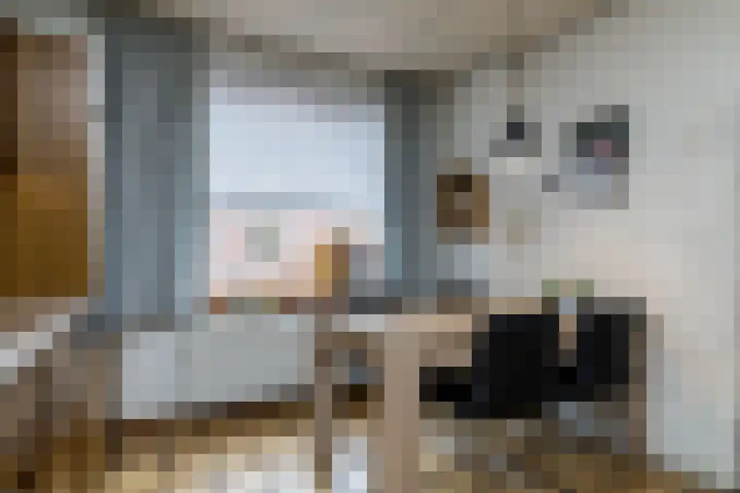 Titus Brandsmastraat 6 Brunssum thumbnail 6