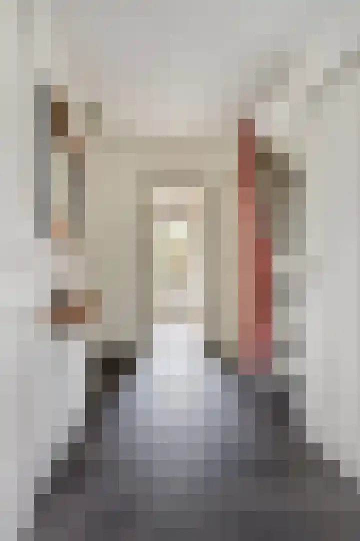 Titus Brandsmastraat 69 Oldenzaal thumbnail 11