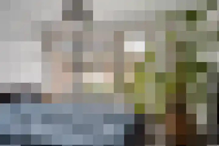 Titus Brandsmastraat 69 Oldenzaal thumbnail 18