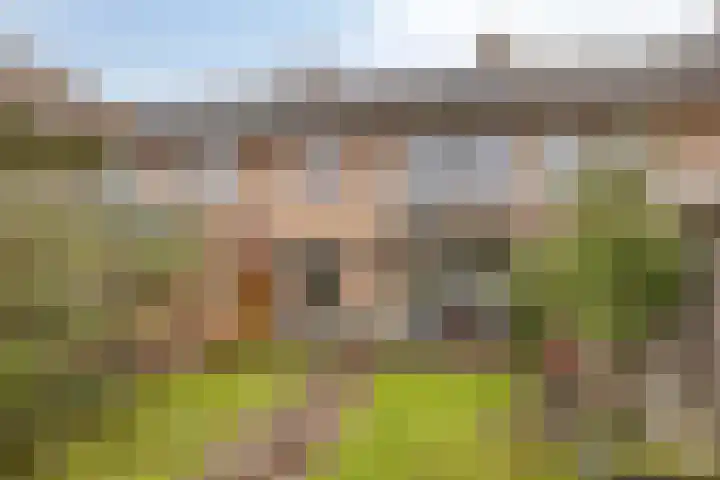 Titus Brandsmastraat 69 Oldenzaal thumbnail 4