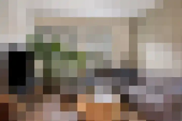 Titus Brandsmastraat 69 Oldenzaal thumbnail 6