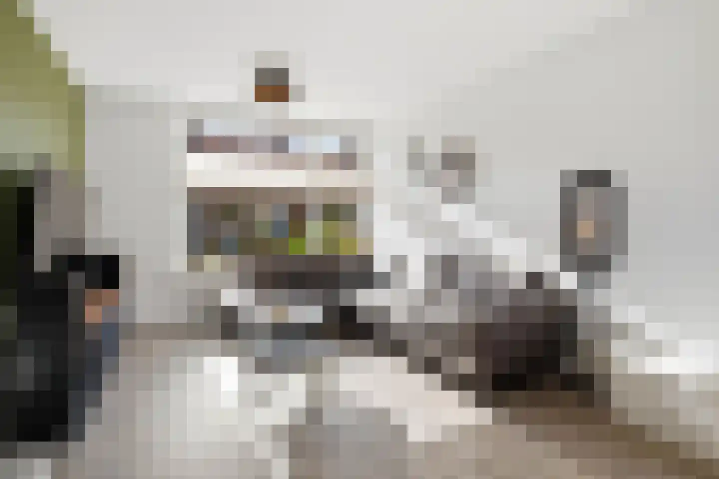 Titus Brandsmastraat 8 Velp thumbnail 10