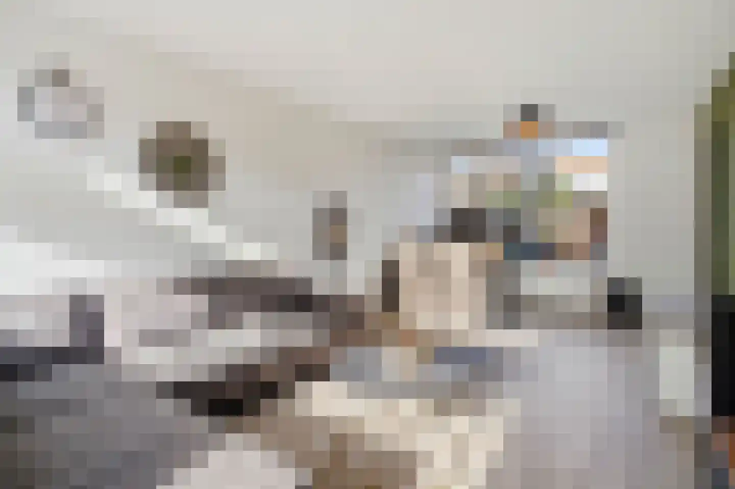 Titus Brandsmastraat 8 Velp thumbnail 12