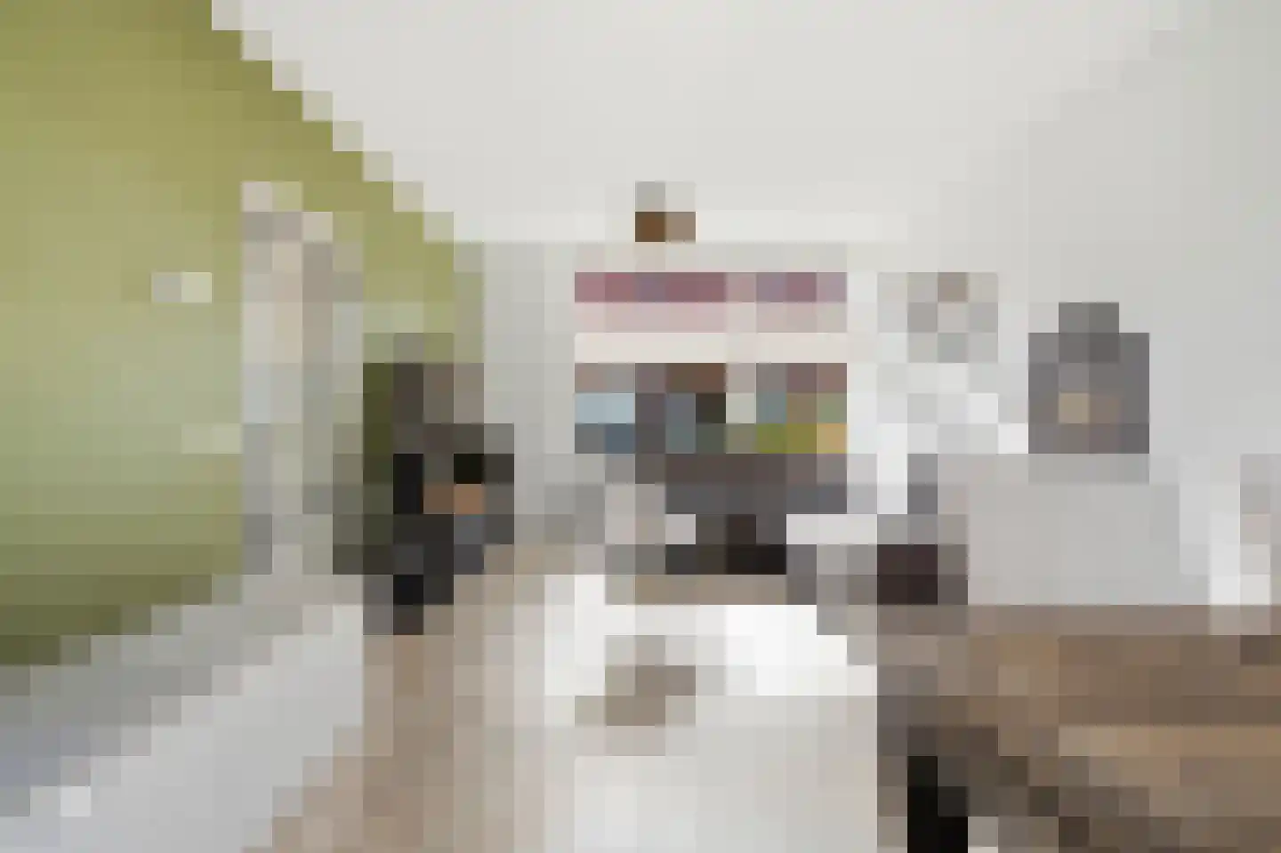 Titus Brandsmastraat 8 Velp thumbnail 14