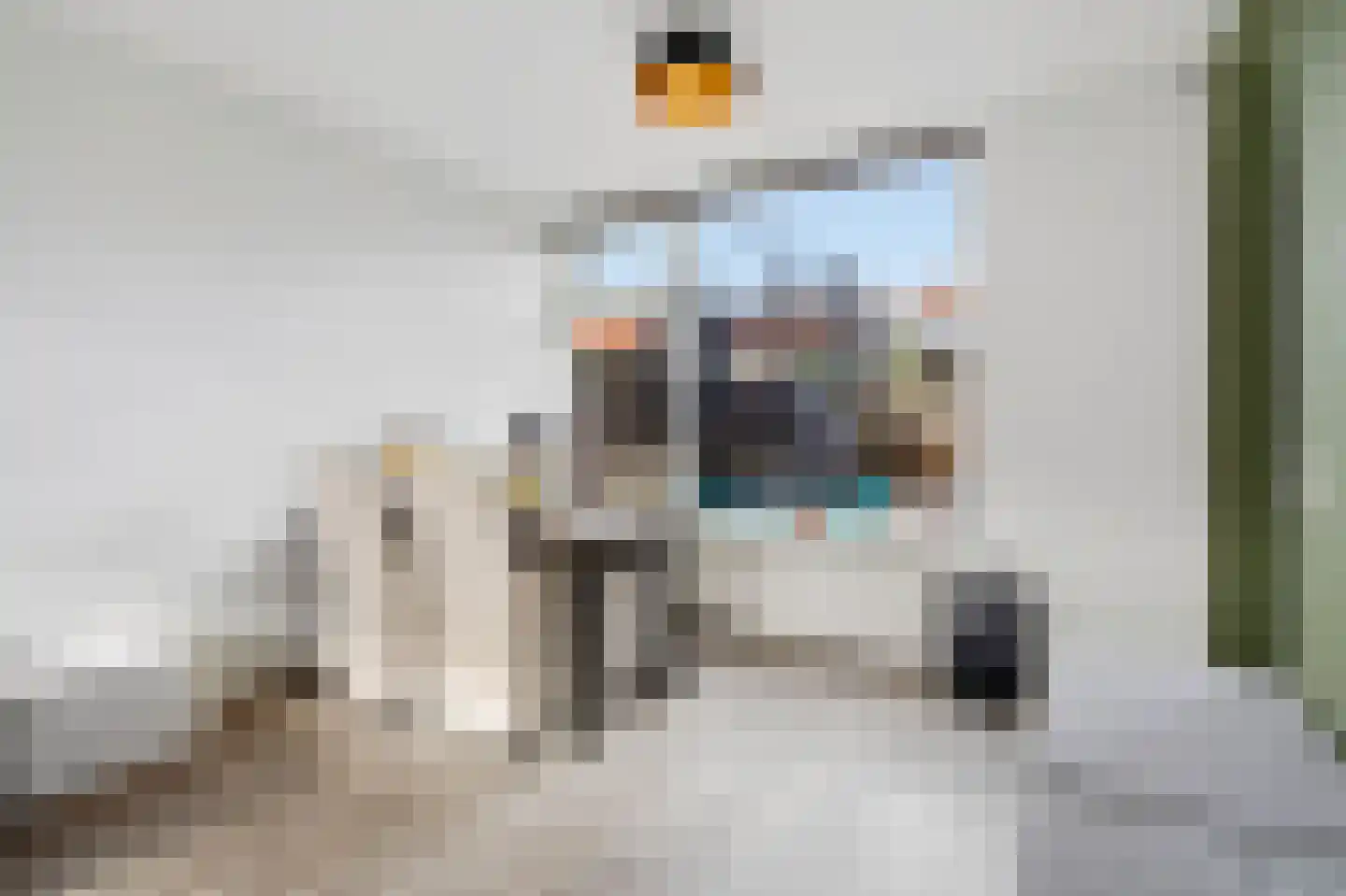 Titus Brandsmastraat 8 Velp thumbnail 16
