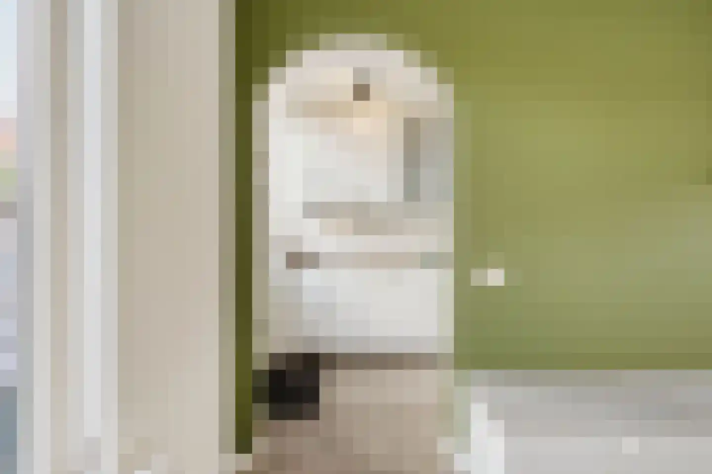 Titus Brandsmastraat 8 Velp thumbnail 17