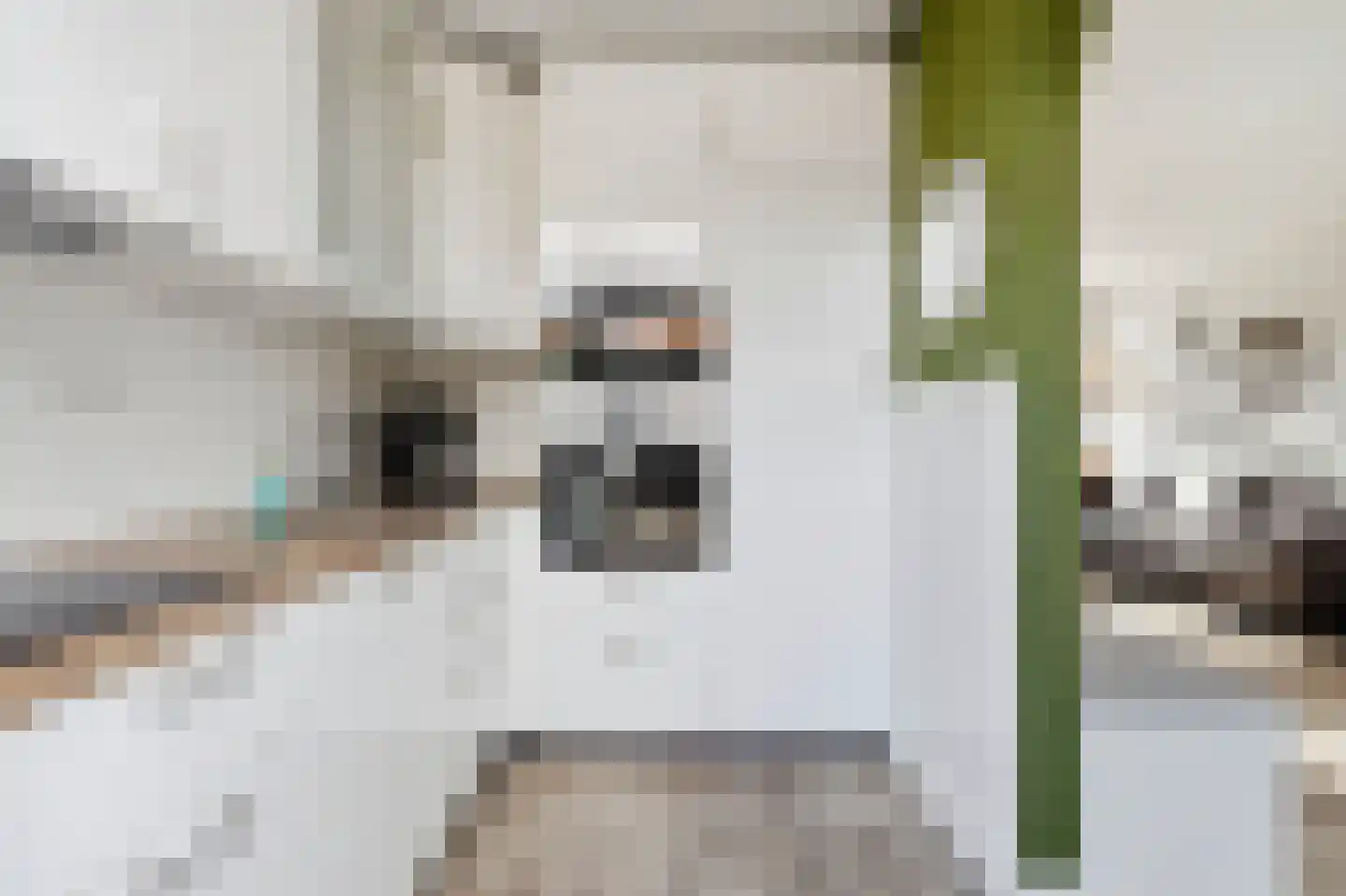 Titus Brandsmastraat 8 Velp thumbnail 18