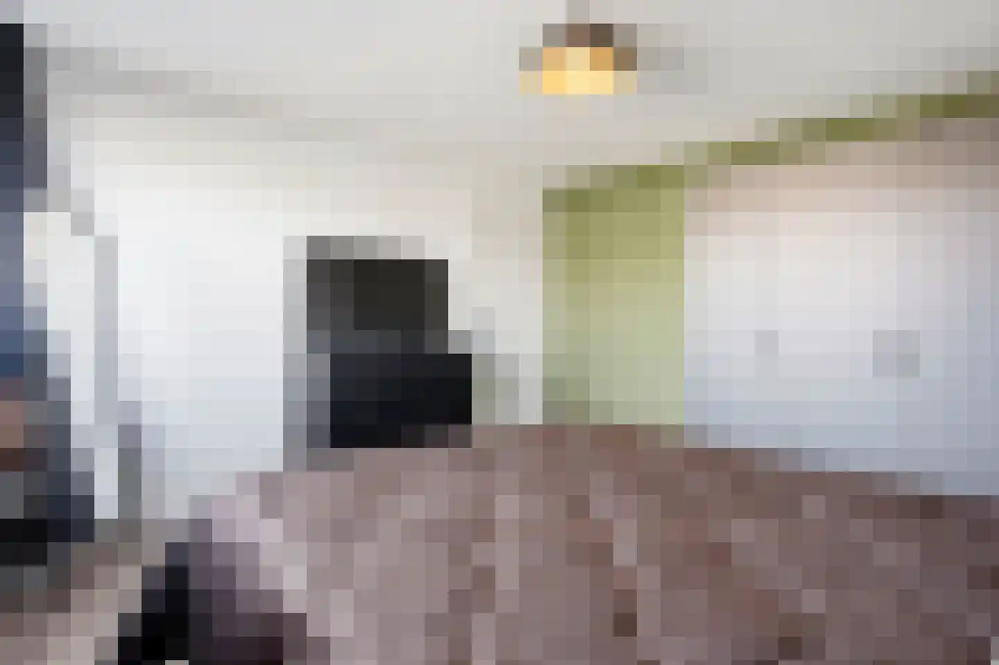 Titus Brandsmastraat 8 Velp thumbnail 23