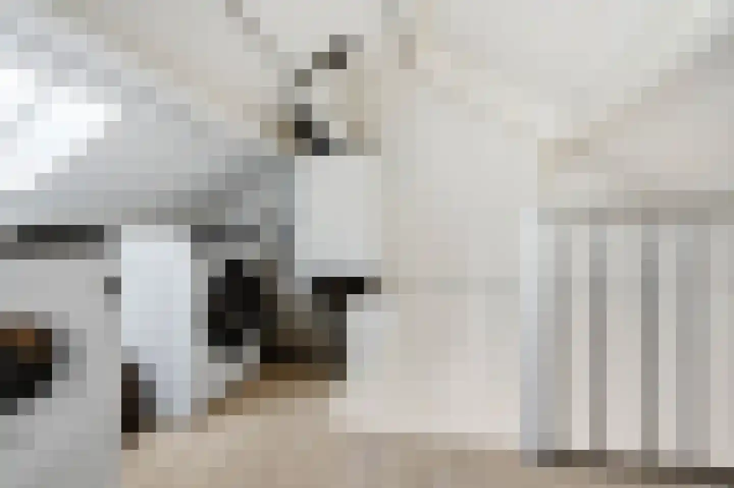 Titus Brandsmastraat 8 Velp thumbnail 30