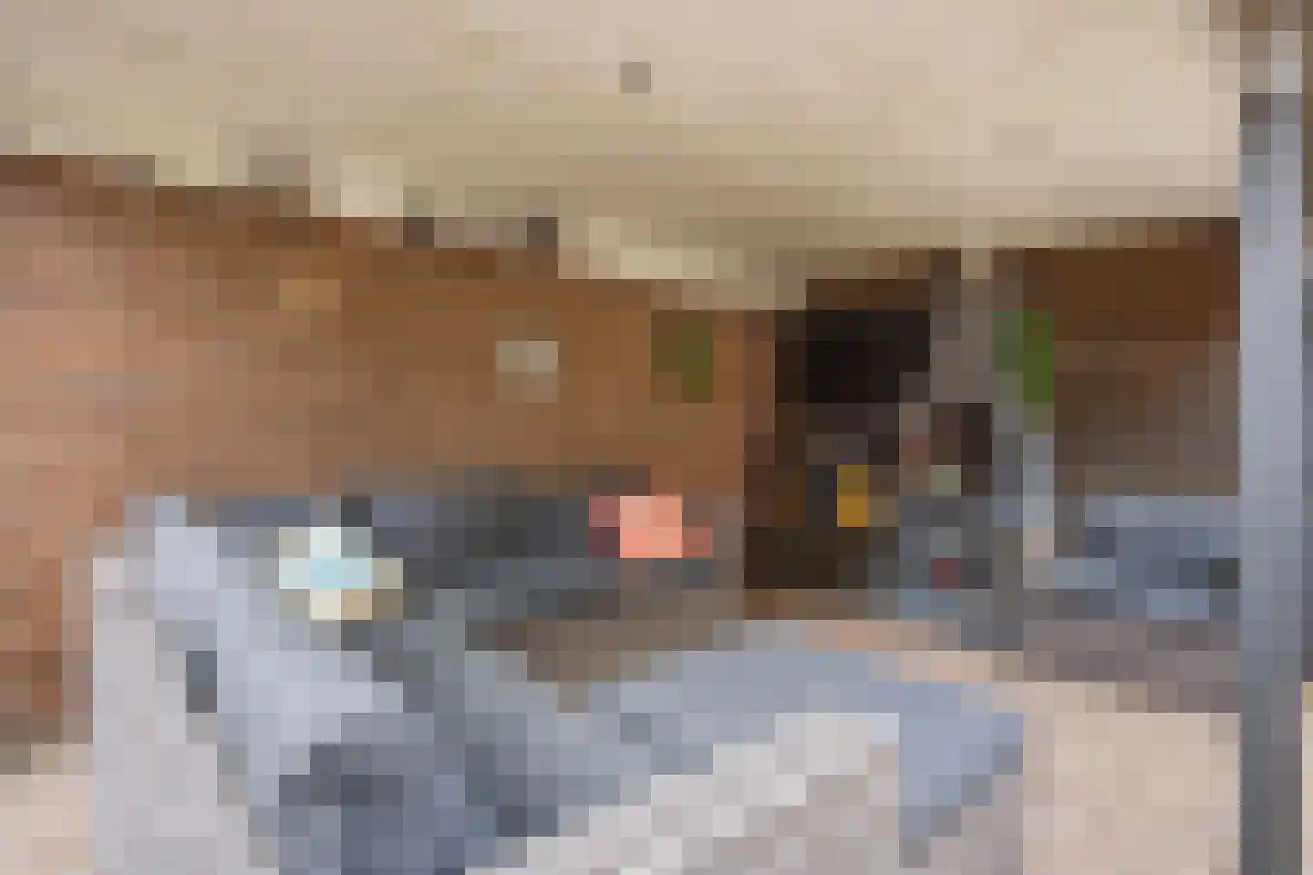 Titus Brandsmastraat 8 Velp thumbnail 34