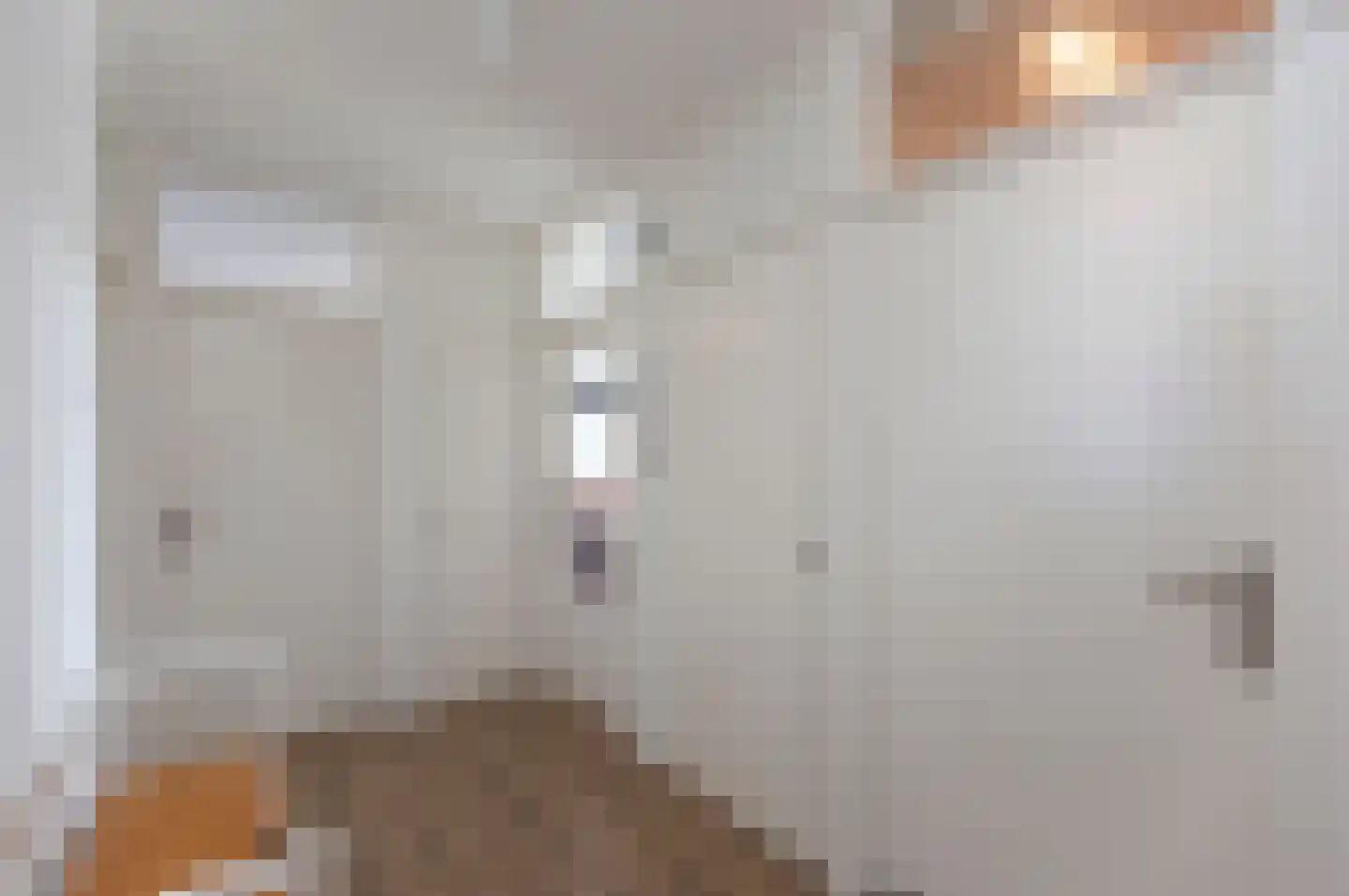 Titus Brandsmastraat 87 Breukelen thumbnail 14