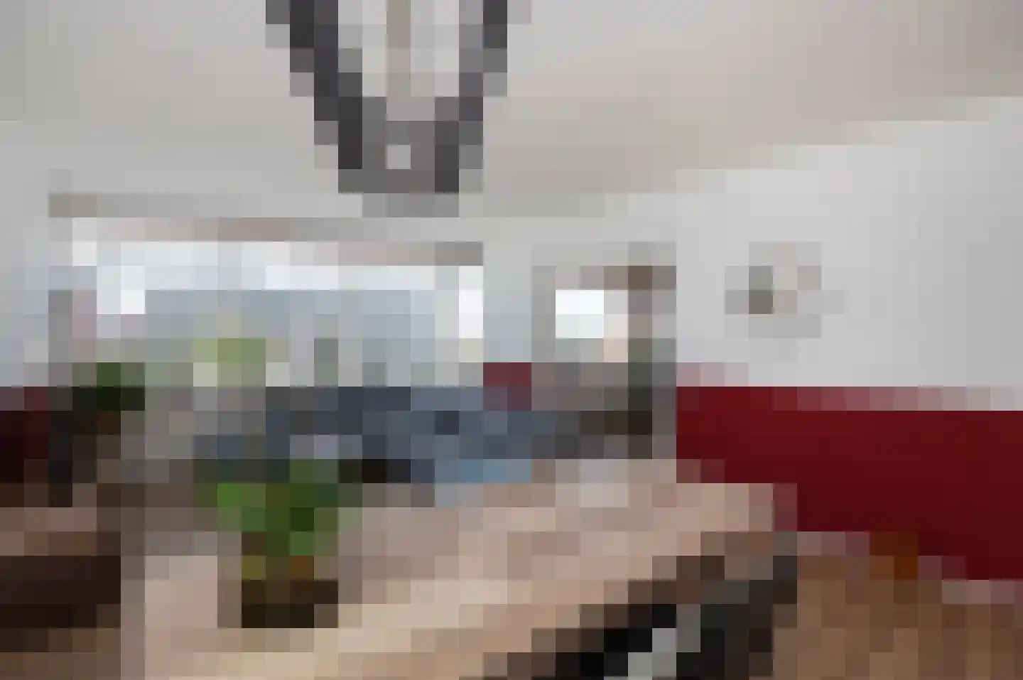 Titus Brandsmastraat 87 Breukelen thumbnail 18
