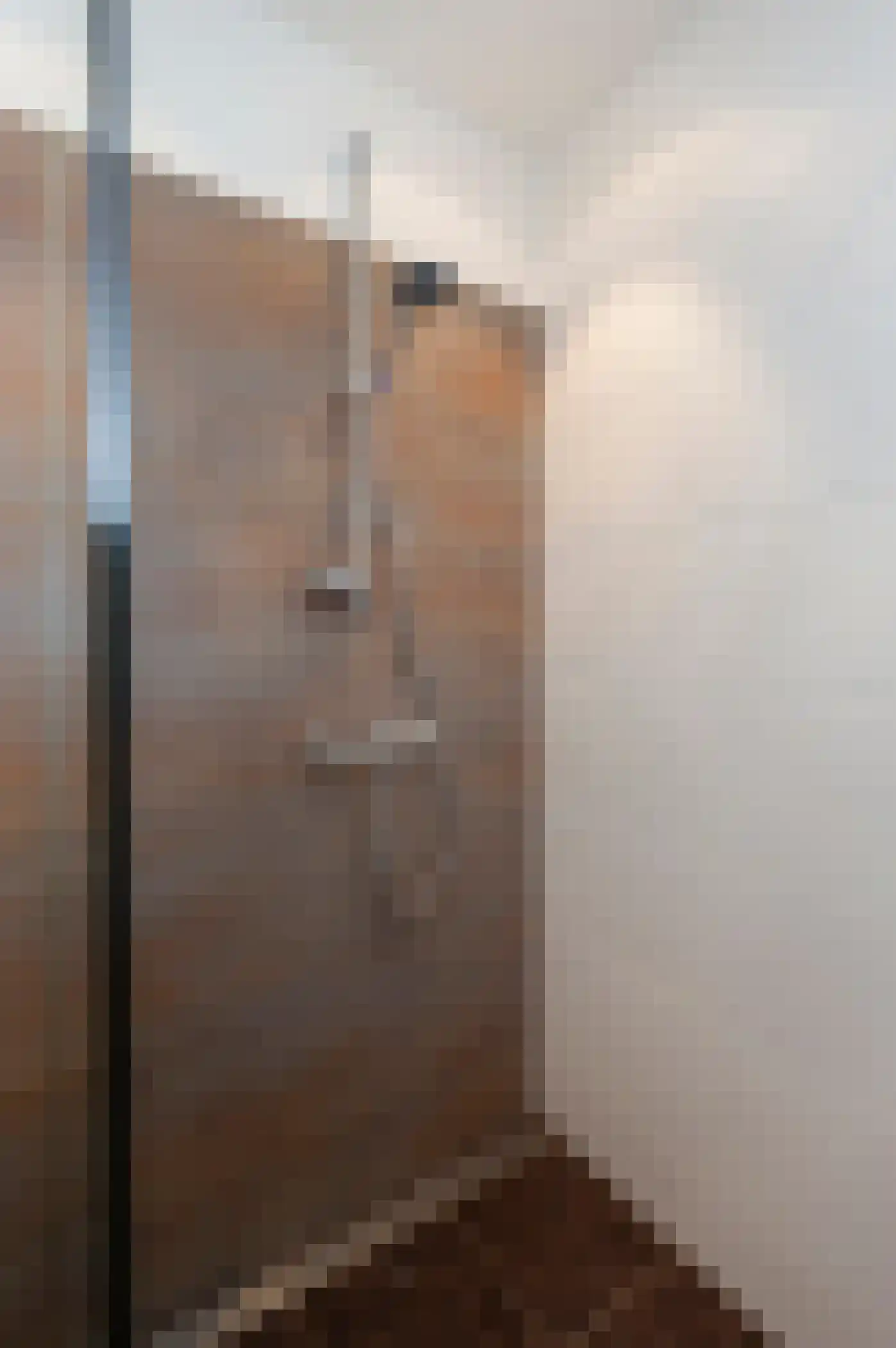 Titus Brandsmastraat 87 Breukelen thumbnail 35
