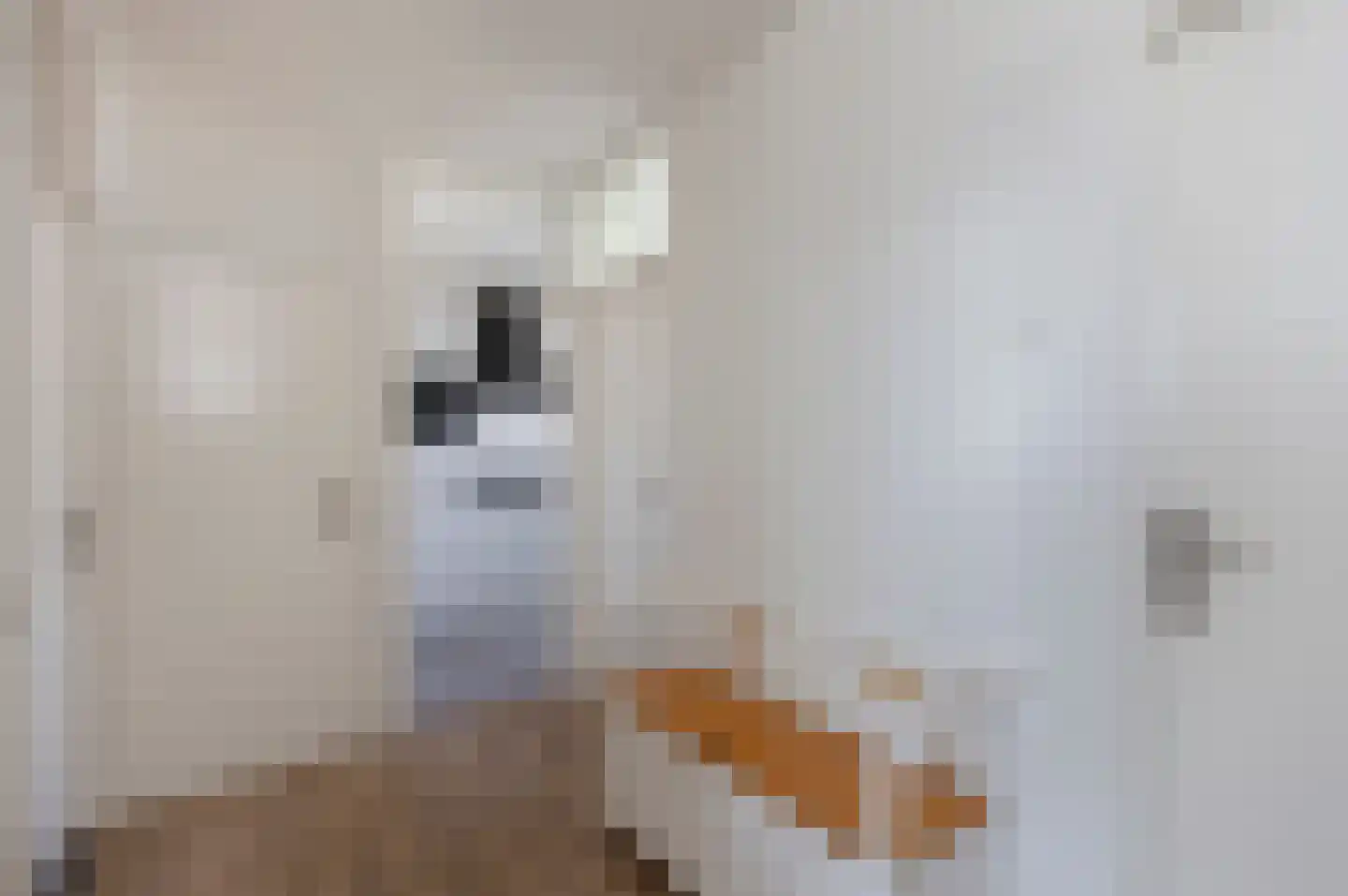 Titus Brandsmastraat 87 Breukelen thumbnail 37