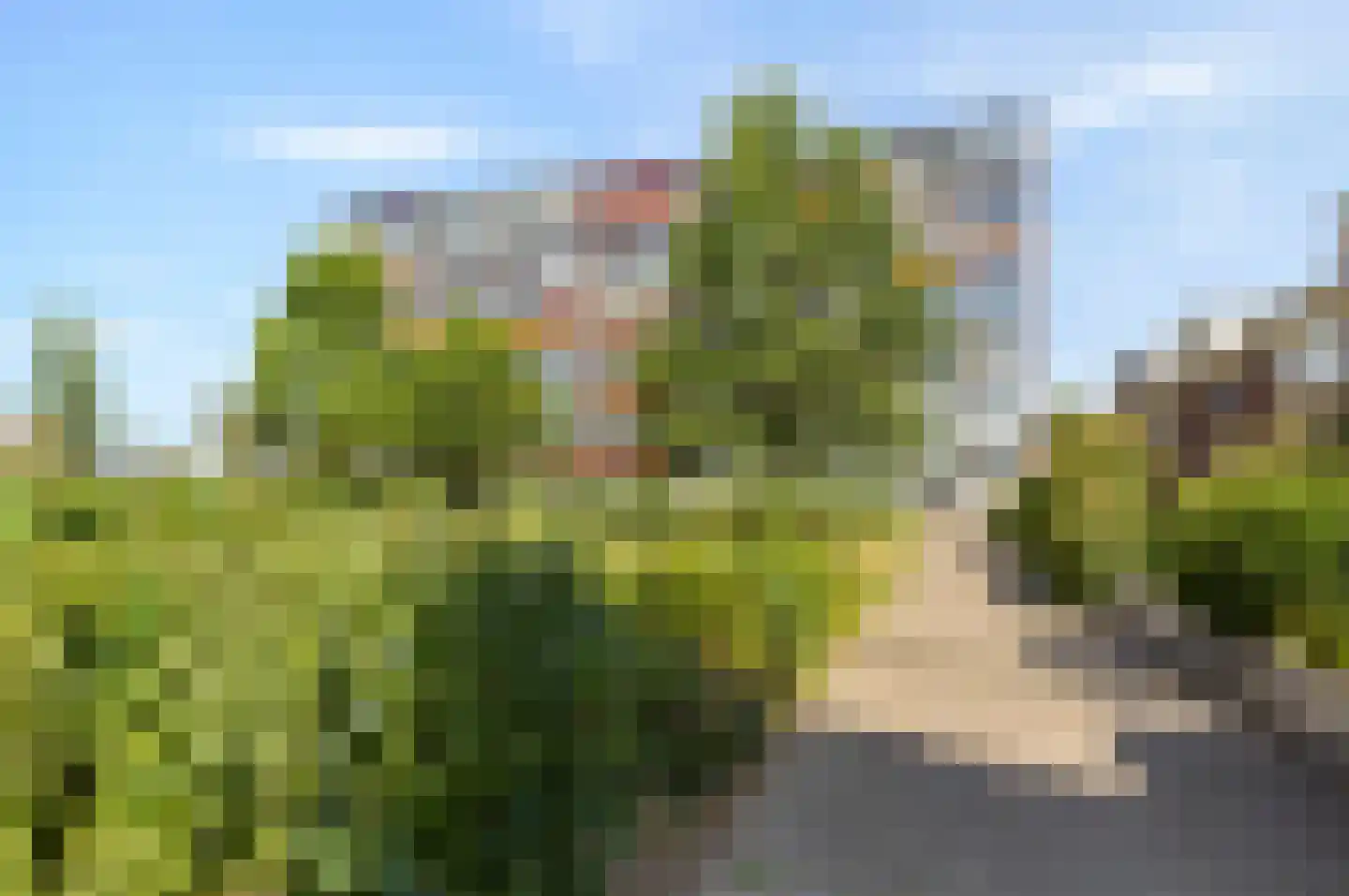 Titus Brandsmastraat 87 Breukelen thumbnail 46