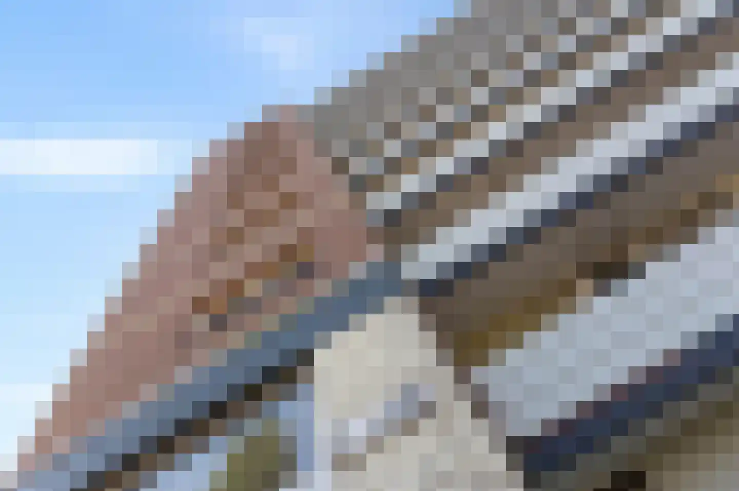 Titus Brandsmastraat 87 Breukelen thumbnail 7