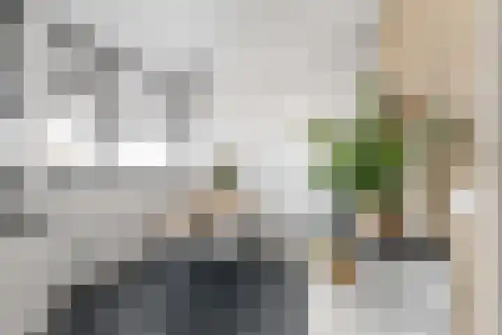 Titus Brandsmastraat 93 Breukelen thumbnail 26