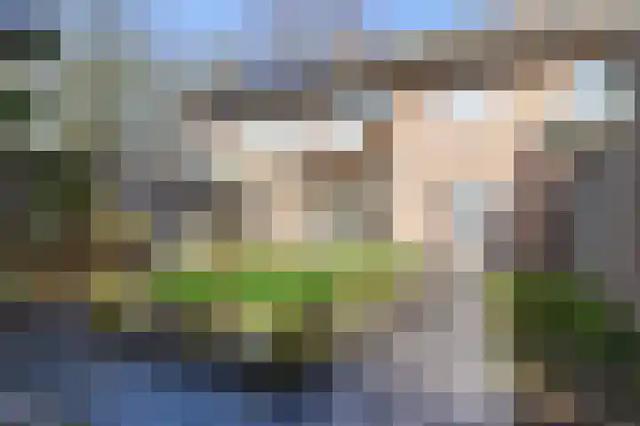 Titus Brandsmastraat 99 Oldenzaal thumbnail 25