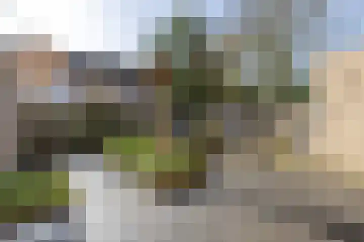 Titus Brandsmastraat 99 Oldenzaal thumbnail 5