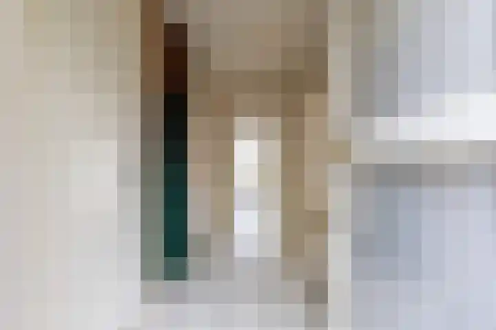 Titus Brandsmastraat 99 Oldenzaal thumbnail 7