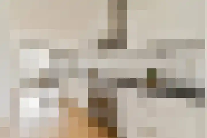 Titus van Rijnstraat 150 Amsterdam thumbnail 7