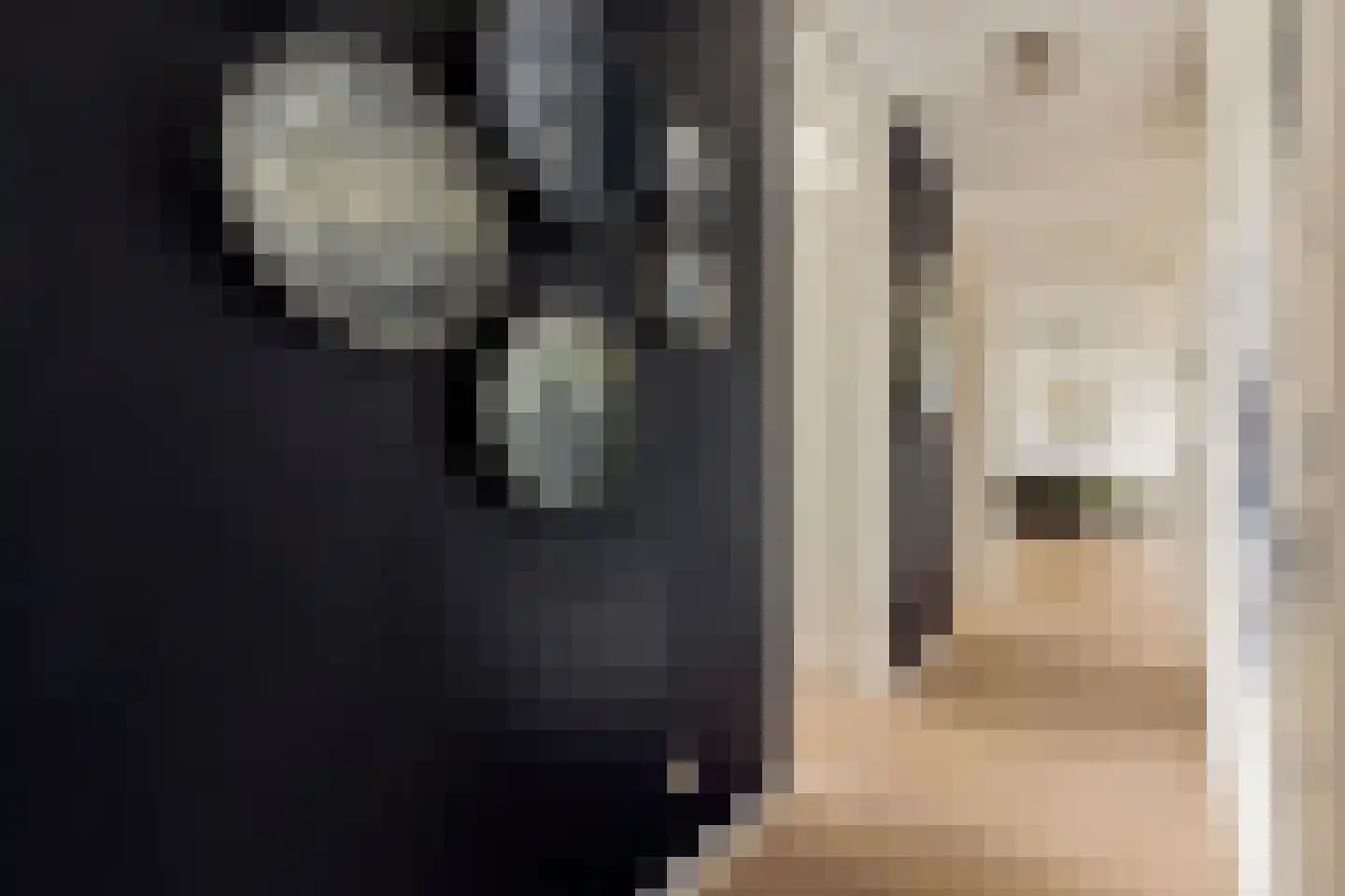 Titus van Rijnstraat 155 Amsterdam thumbnail 13