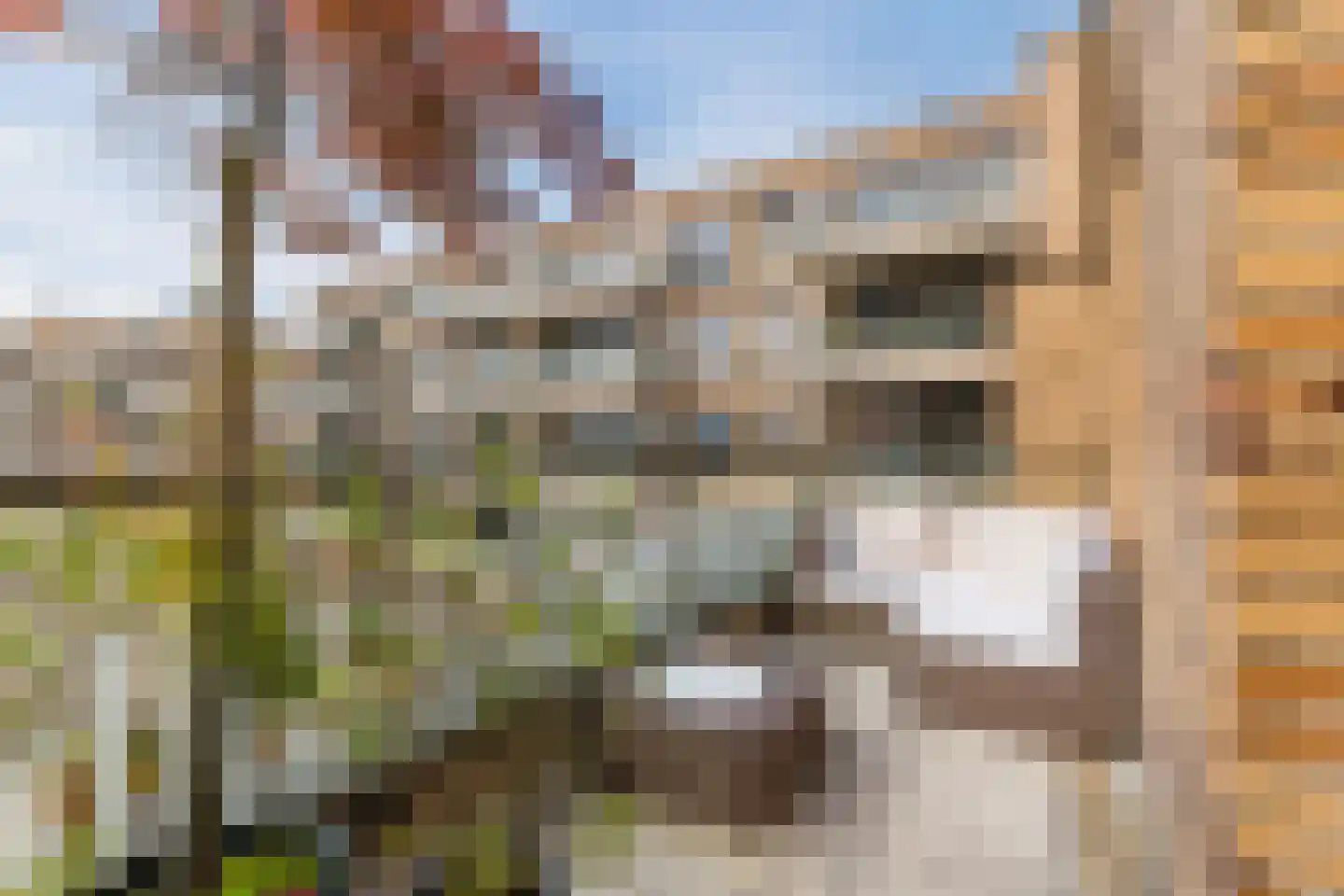 Titus van Rijnstraat 158 Amsterdam thumbnail 24