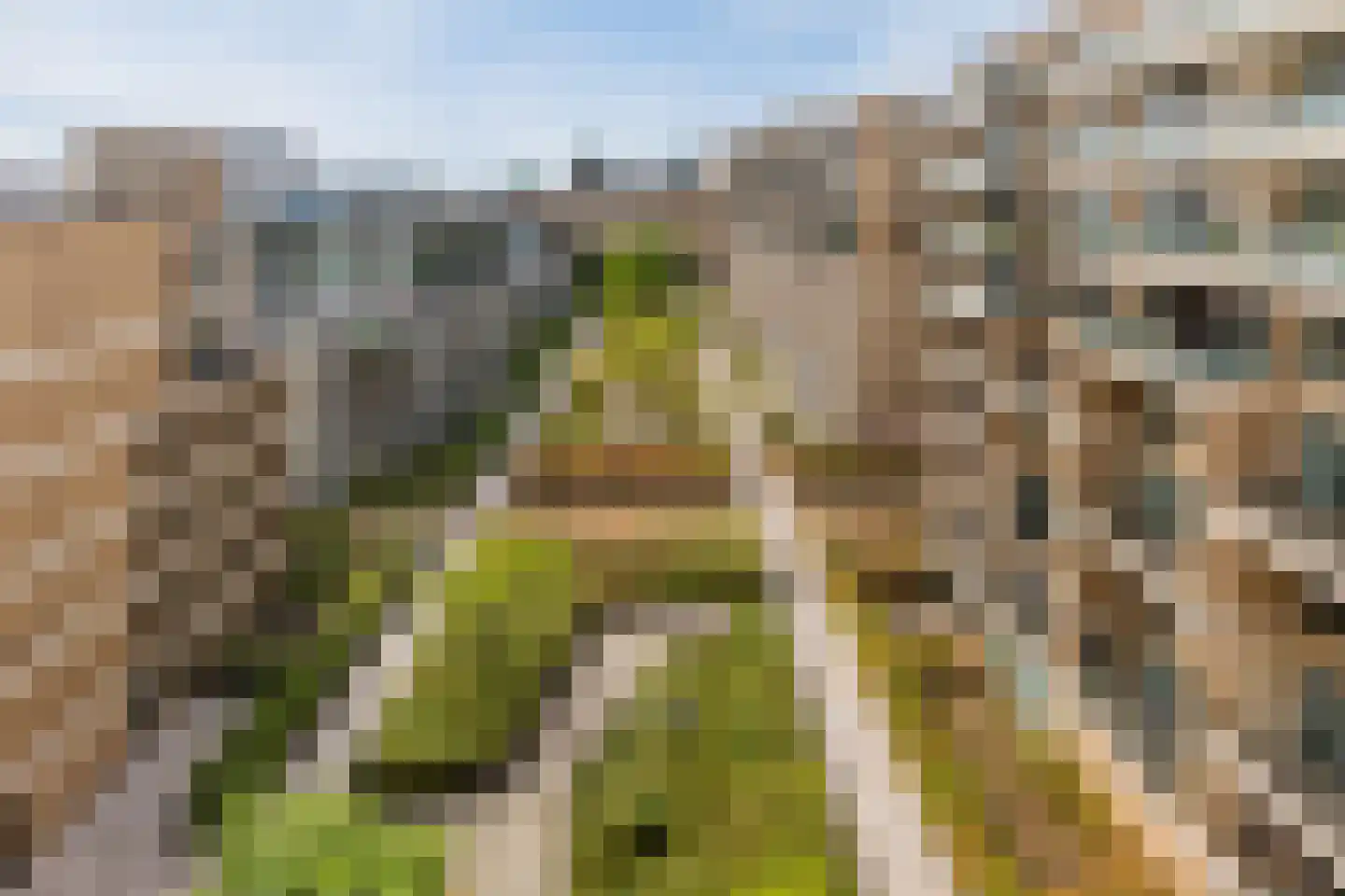 Titus van Rijnstraat 158 Amsterdam thumbnail 26
