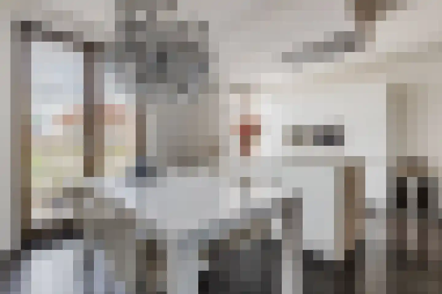 Titus van Rijnstraat 158 Amsterdam thumbnail 4