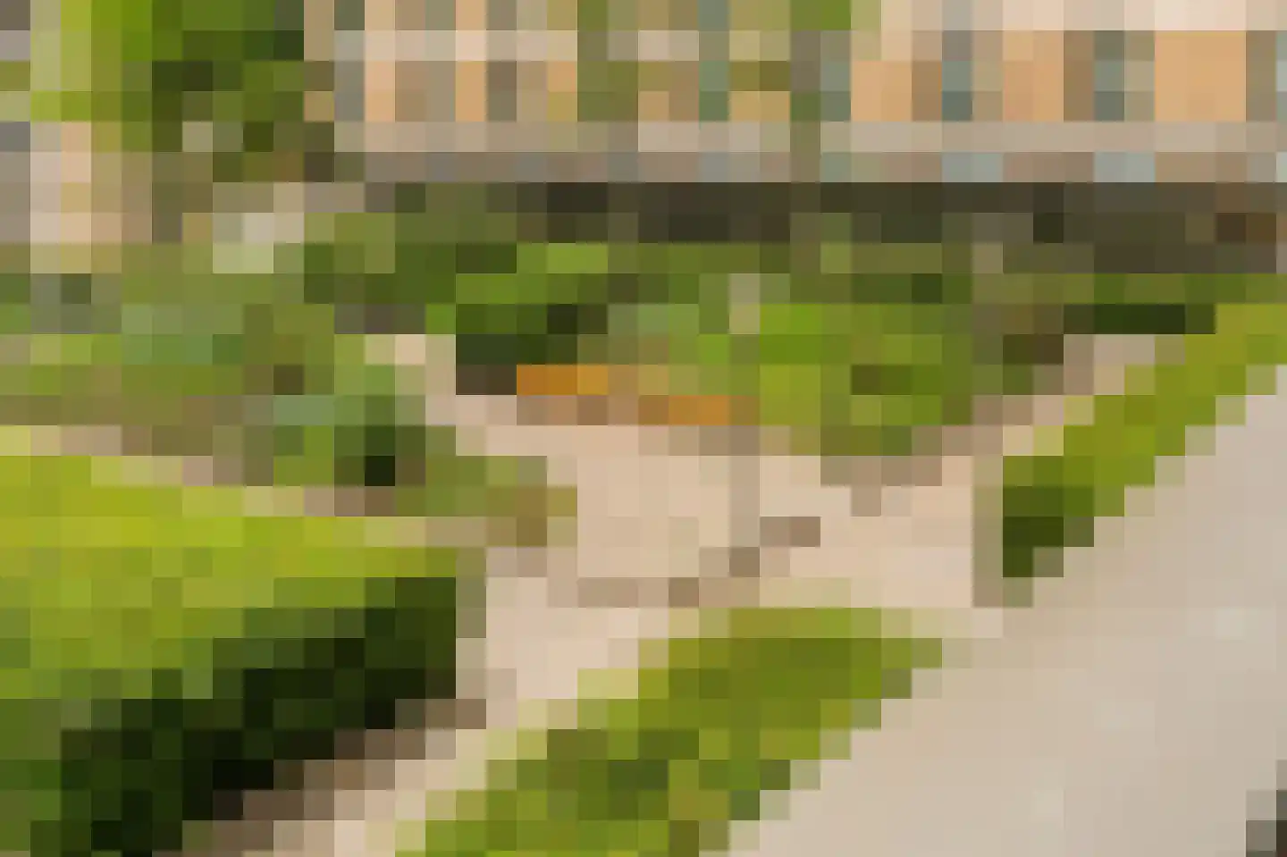 Titus van Rijnstraat 271 Amsterdam thumbnail 15