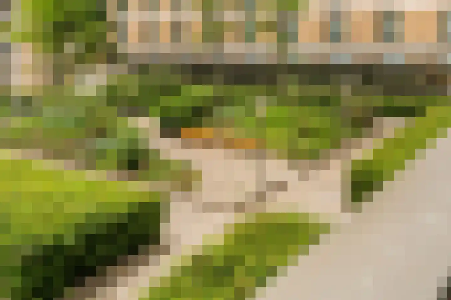 Titus van Rijnstraat 271 Amsterdam thumbnail 15