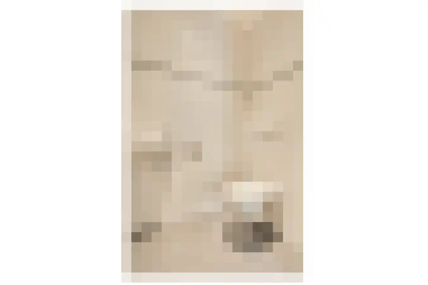 Titus van Rijnstraat 271 Amsterdam thumbnail 30