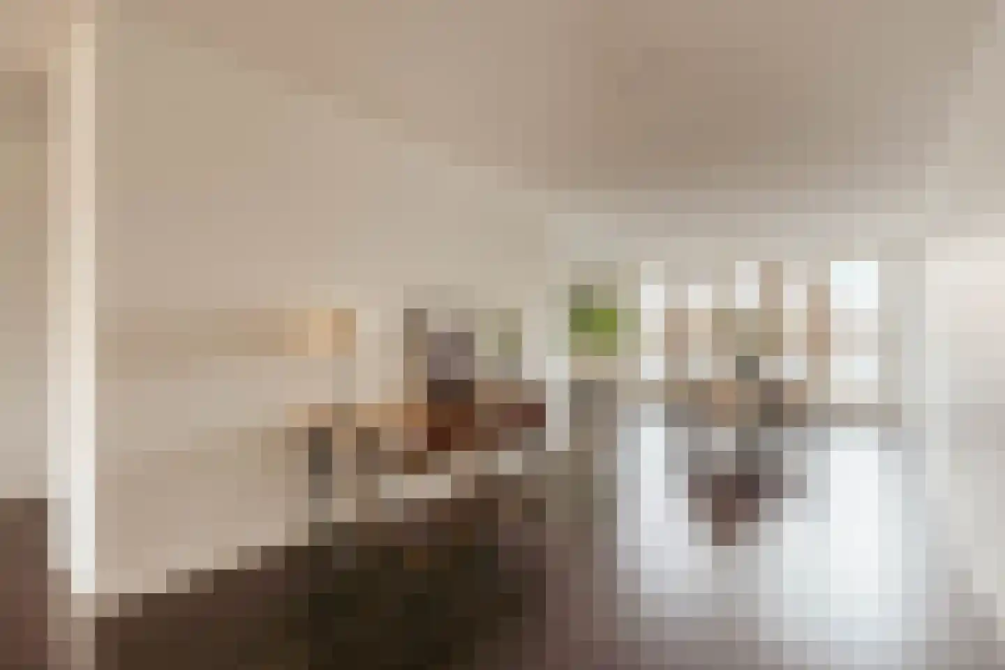 Titus van Rijnstraat 272 Amsterdam thumbnail 26