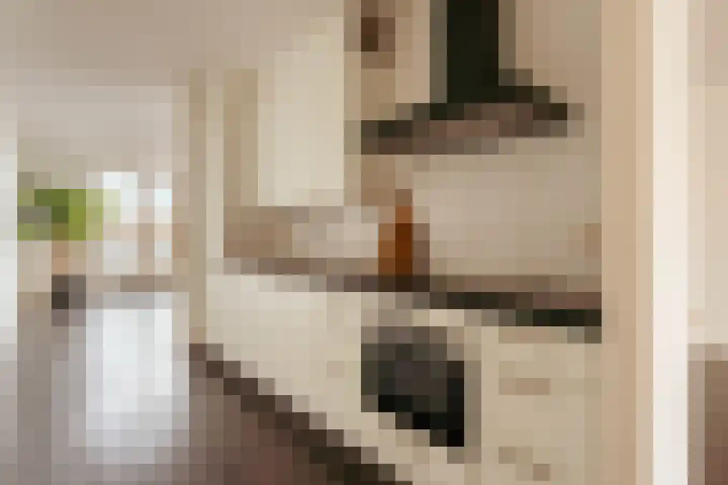 Titus van Rijnstraat 272 Amsterdam thumbnail 8