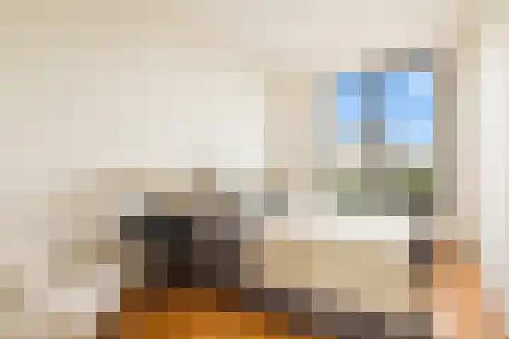 Titus van Rijnstraat 296 Amsterdam thumbnail 19