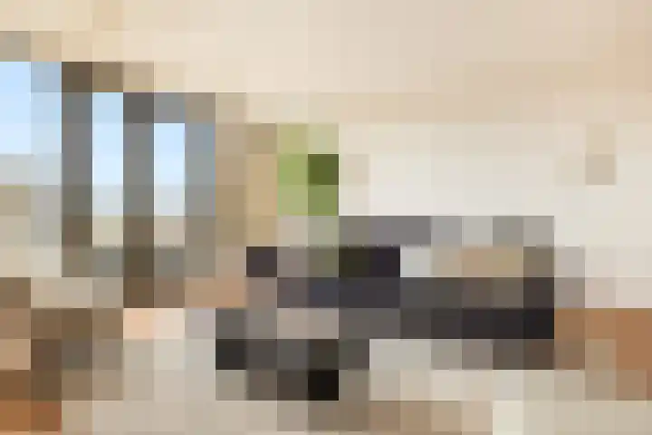 Titus van Rijnstraat 296 Amsterdam thumbnail 7