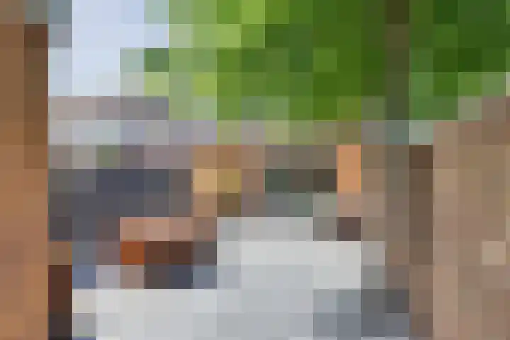 Titushof 51 De Meern thumbnail 22