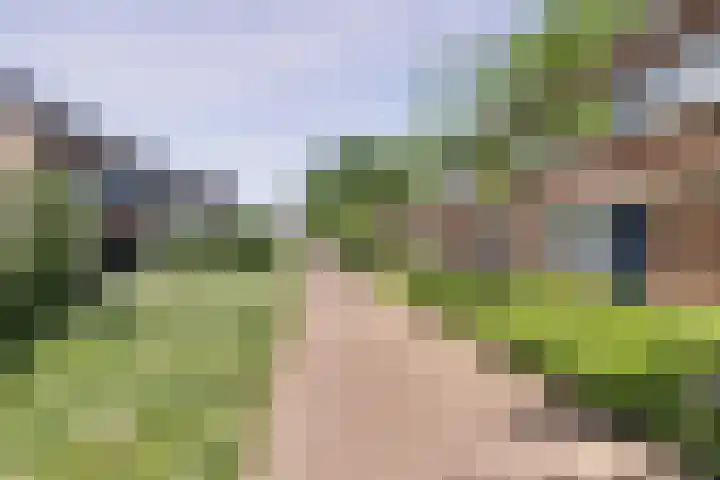 Titushof 51 De Meern thumbnail 26