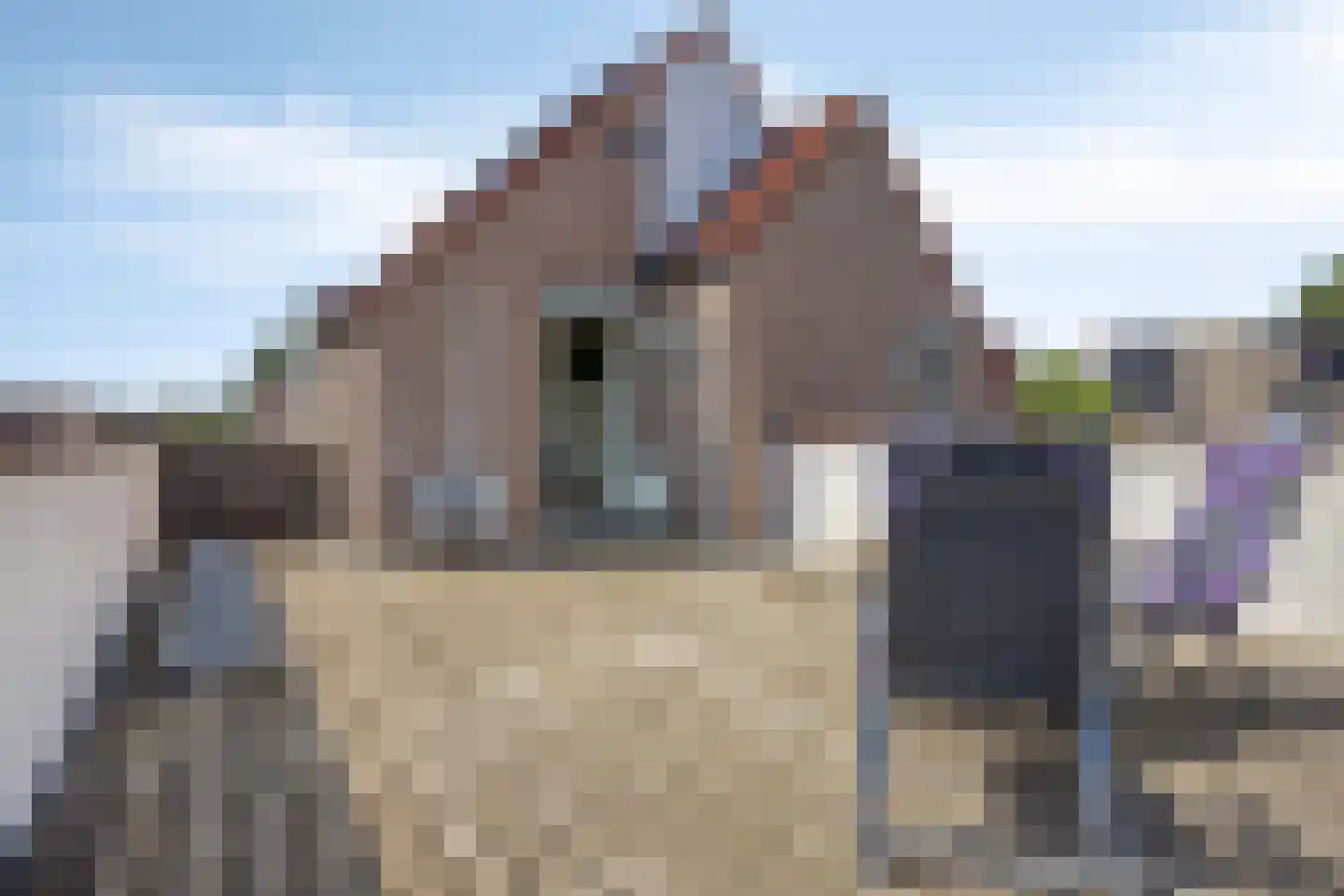 Tituslaan 14 Beuningen Gld thumbnail 26