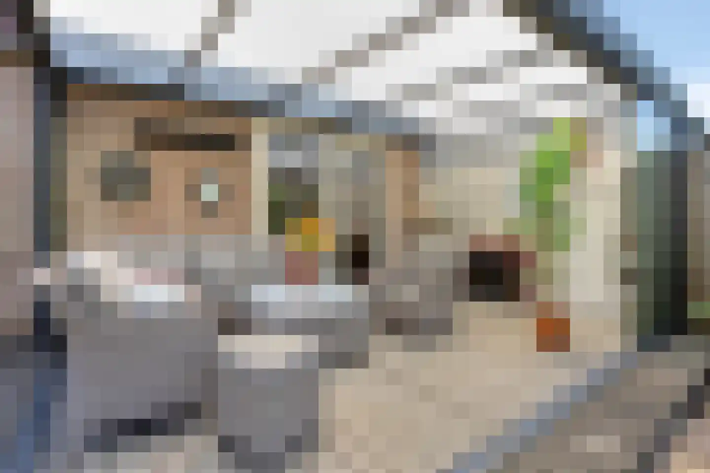 Tituslaan 14 Beuningen Gld thumbnail 36