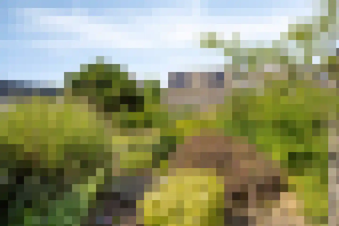 Tituslaan 14 Beuningen Gld thumbnail 43