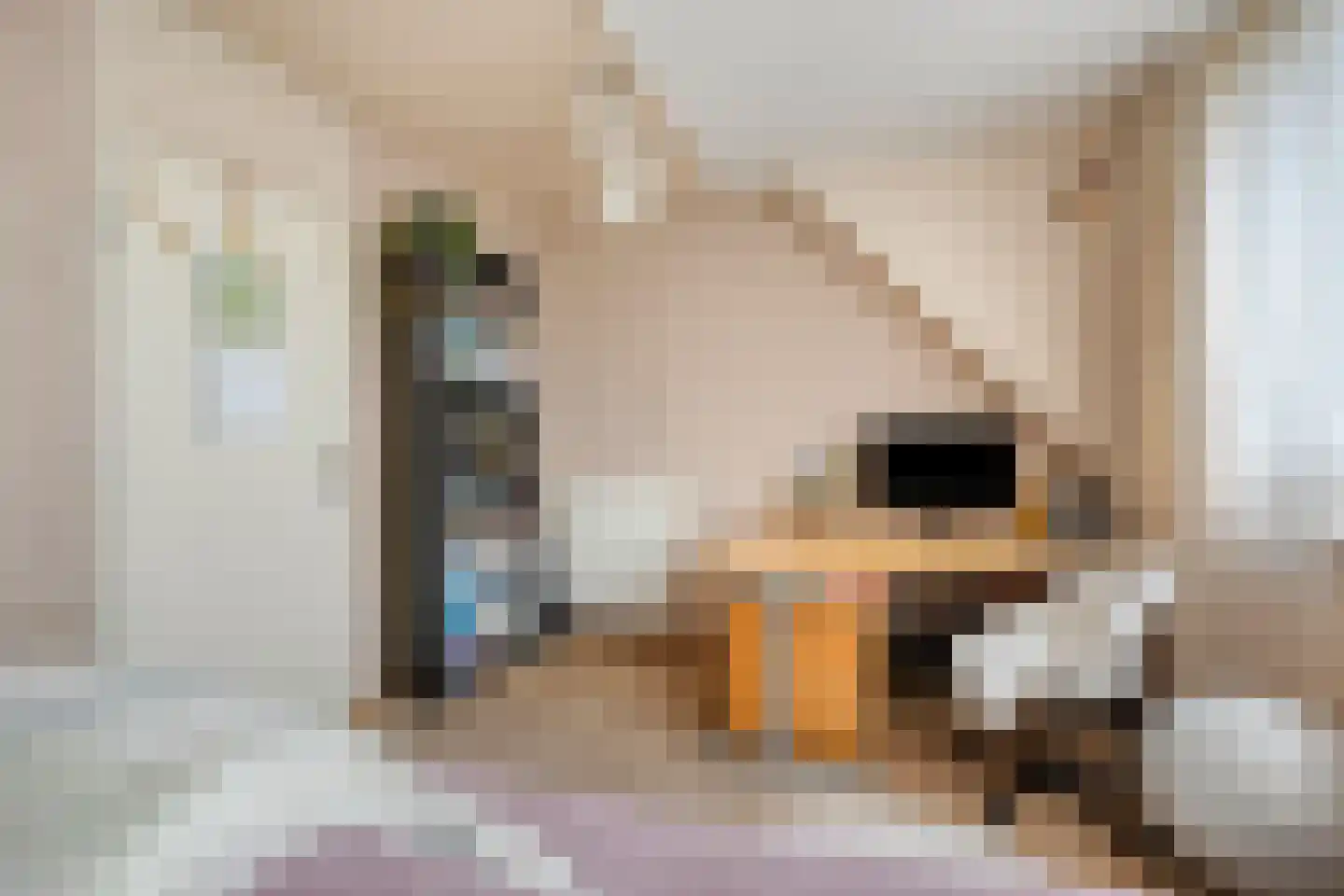 Tituslaan 28 Beuningen Gld thumbnail 17